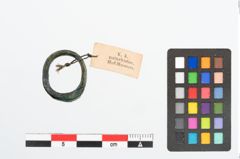 Foto von Bronzering (NHMW-PRAE-025743)